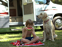 Beating the Heat in Your RV
